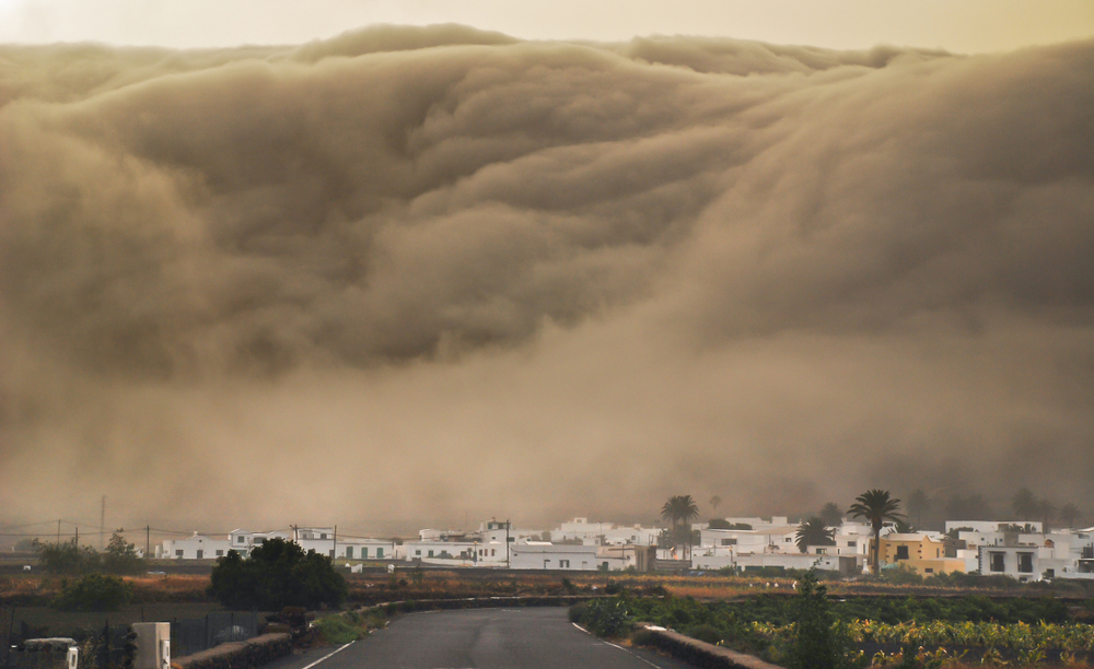 Massive Wave Sweeps Tourists into the Sea! Spanish Island Turns into a Nightmare